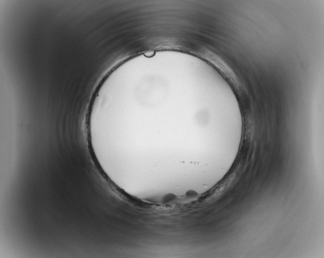 X0000091570806200709171056