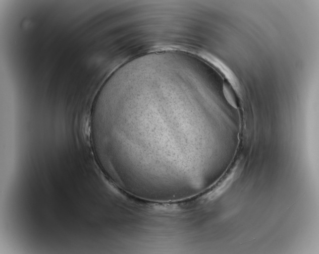 X0000091570809200709171056