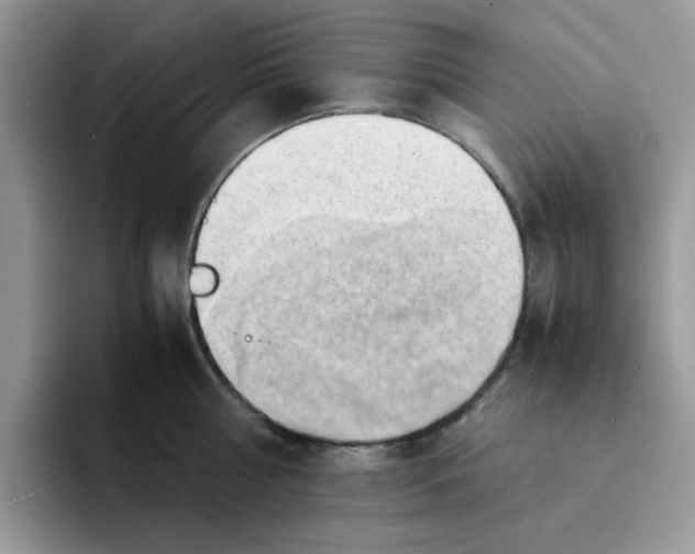 X0000091570810200709171056