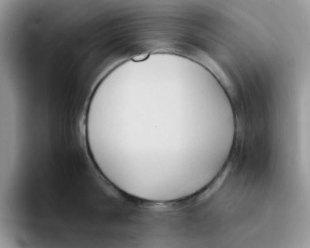 X0000091570814200709171056