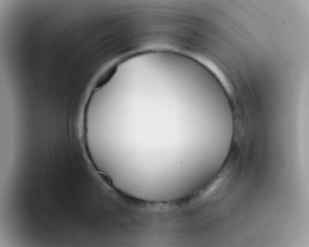 X0000091570815200709171056