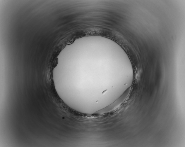 X0000091570819200709171056