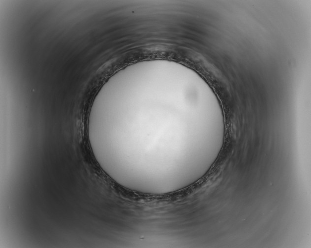 X0000091570821200709171056