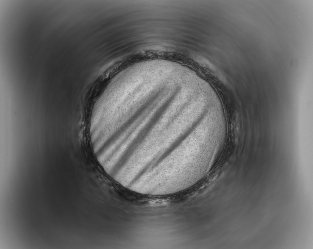 X0000091570822200709171056