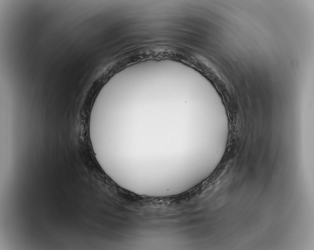 X0000091570823200709171056