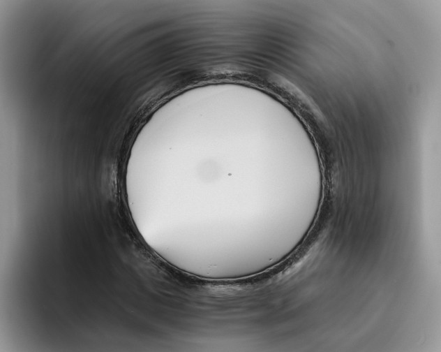 X0000091570825200709171056