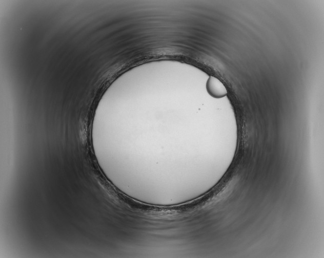 X0000091570833200709171056