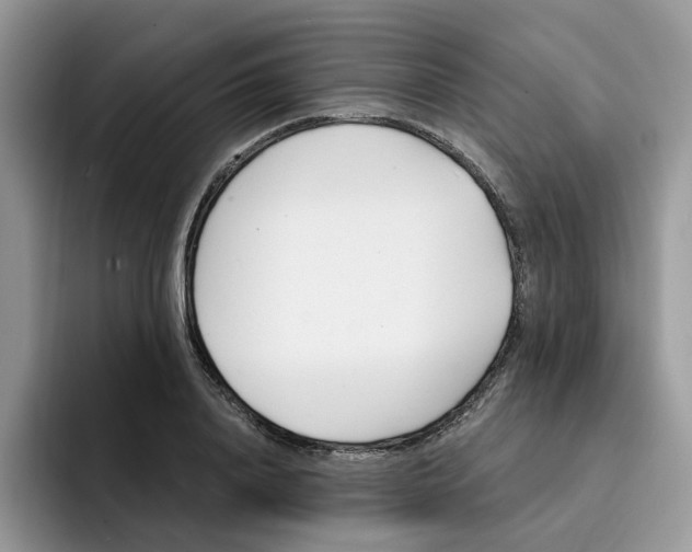 X0000091570840200709171056