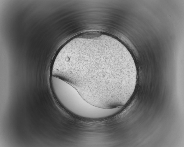 X0000091570842200709171056