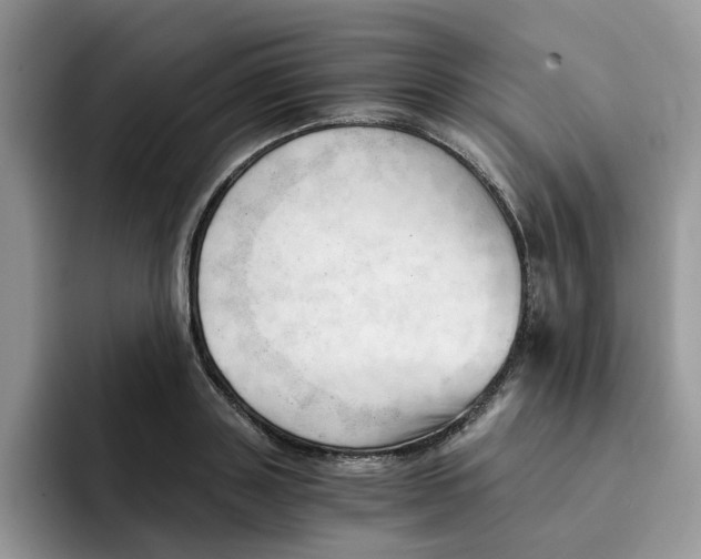 X0000091570843200709171056