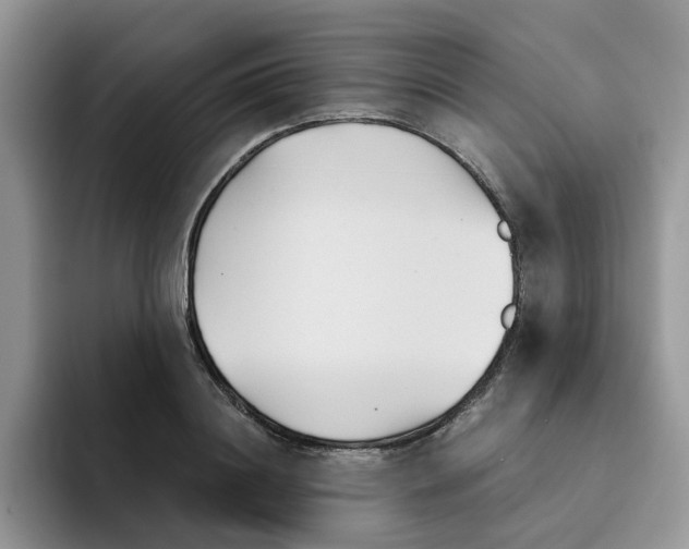 X0000091570844200709171056