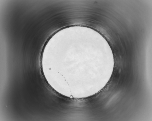 X0000091570848200709171056