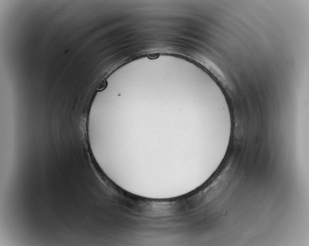 X0000091570849200709171056