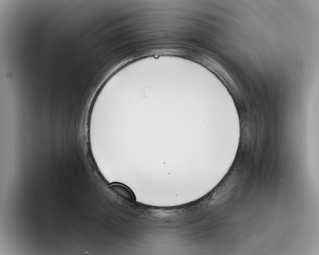 X0000091570852200709171056