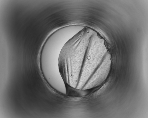 X0000091570854200709171056