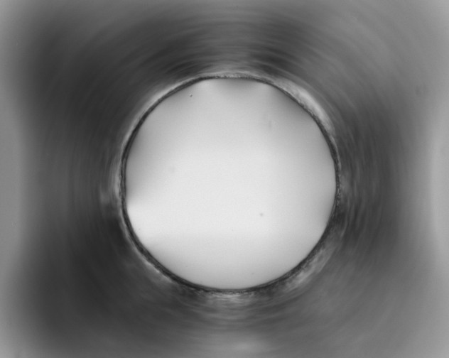 X0000091570855200709171056