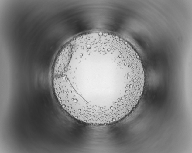 X0000091570856200709171056