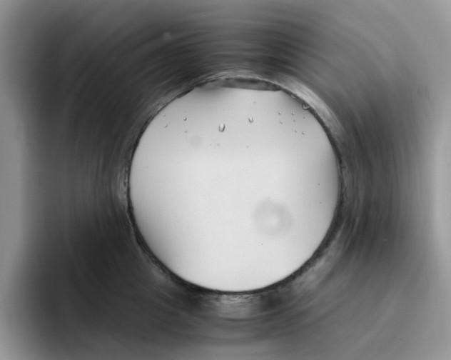 X0000091570857200709171056