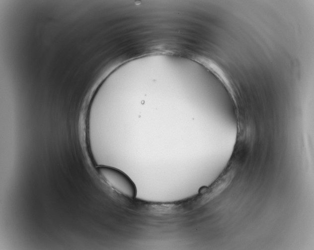 X0000091570859200709171056