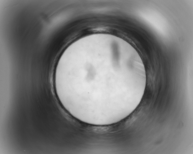 X0000091570861200709171056