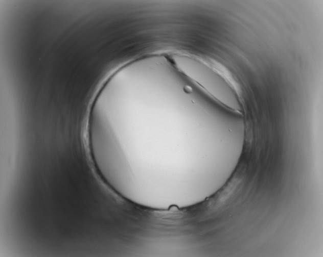 X0000091570863200709171056