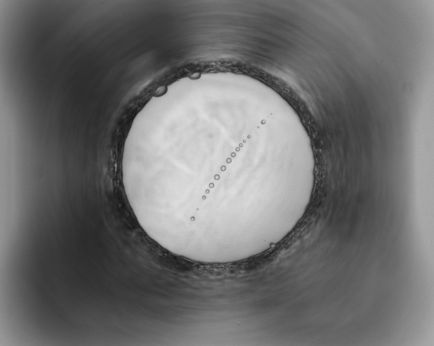 X0000091570871200709171055