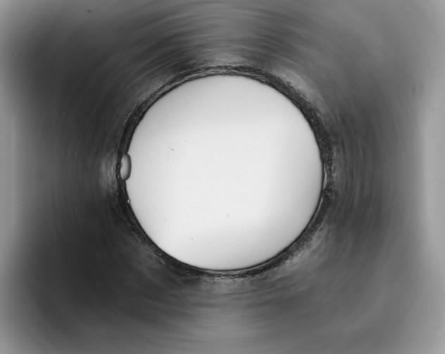 X0000091570873200709171055