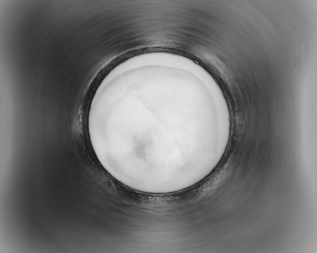 X0000091570875200709171055