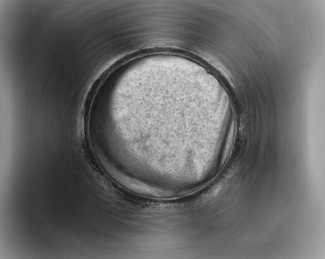 X0000091570877200709171055