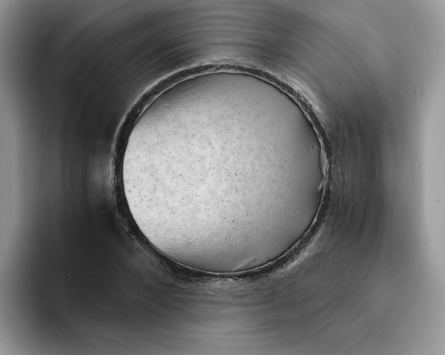 X0000091570880200709171055