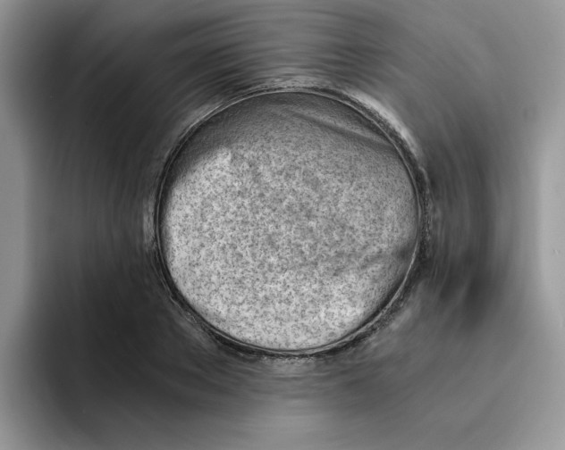 X0000091570889200709171055