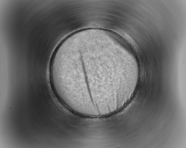 X0000091570896200709171055