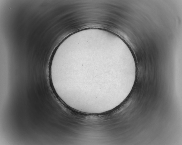 X0000091570898200709171055