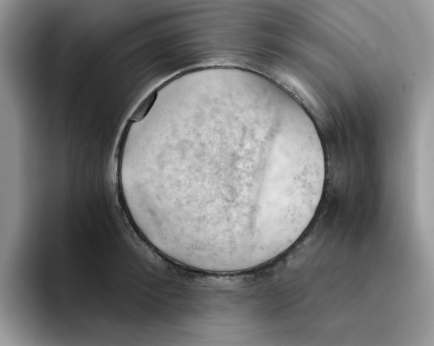 X0000091570900200709171055