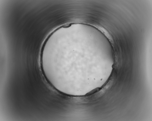 X0000091570904200709171055