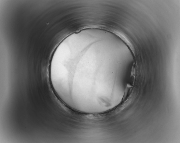 X0000091570906200709171055