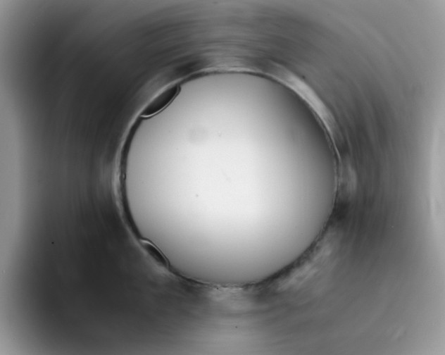 X0000091570909200709171055