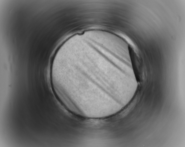 X0000091570910200709171055