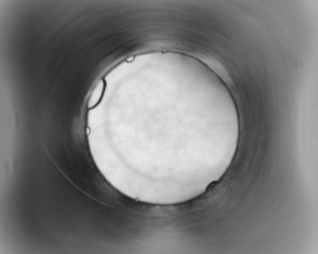 X0000091570912200709171055