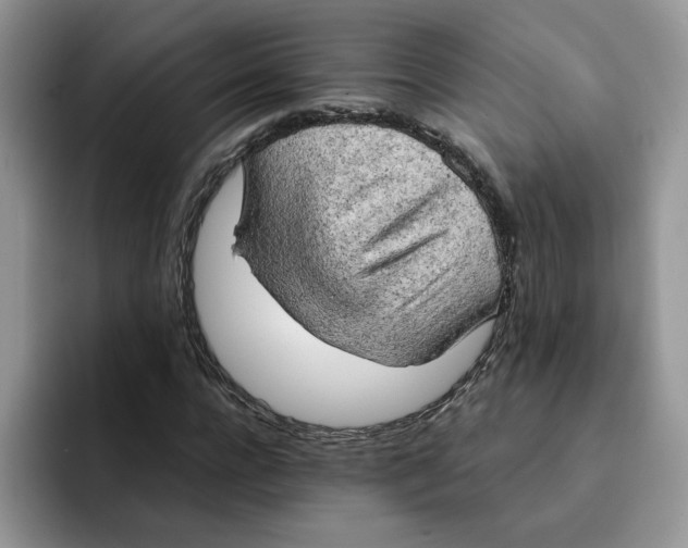 X0000091570920200709171054