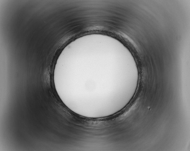 X0000091570921200709171055