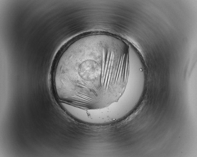 X0000091570928200709171055