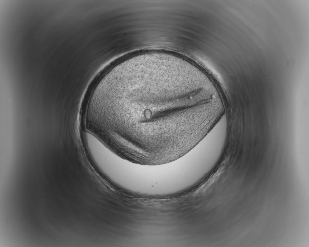 X0000091570932200709171055