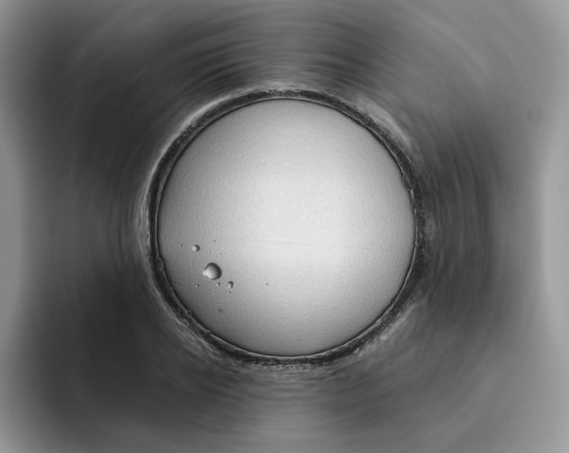 X0000091570934200709171055