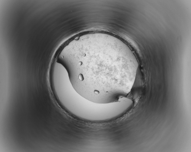 X0000091570936200709171055