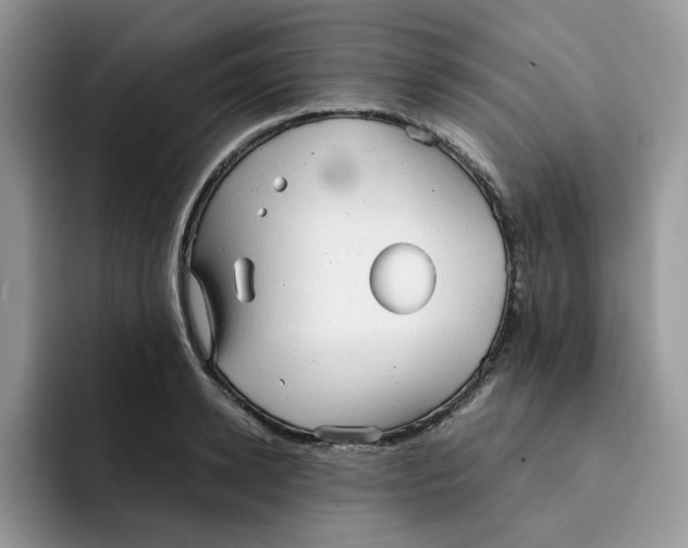 X0000091570942200709171055