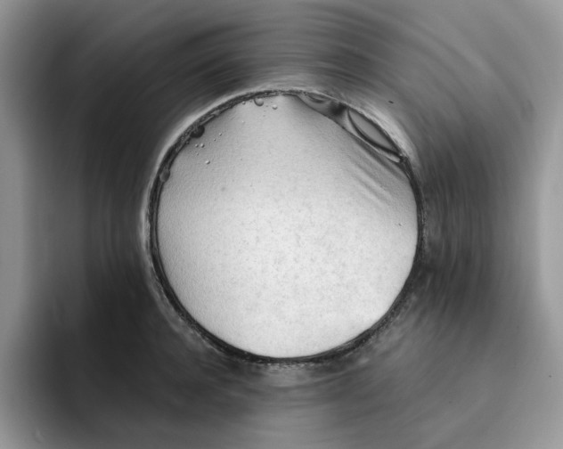 X0000091570944200709171055