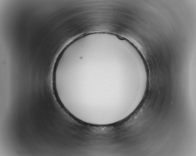 X0000091570949200709171055