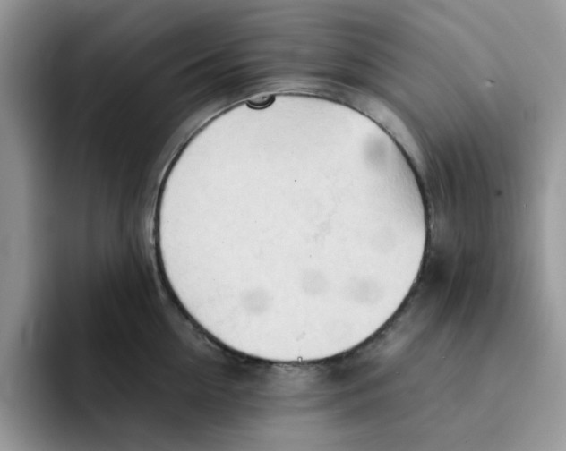 X0000091570954200709171055