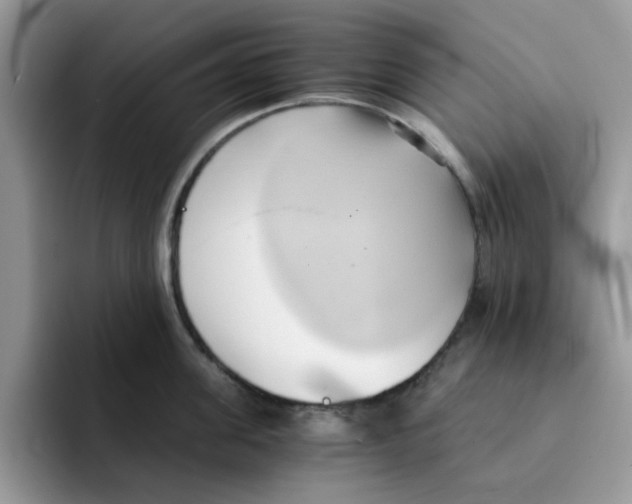 X0000091570955200709171055